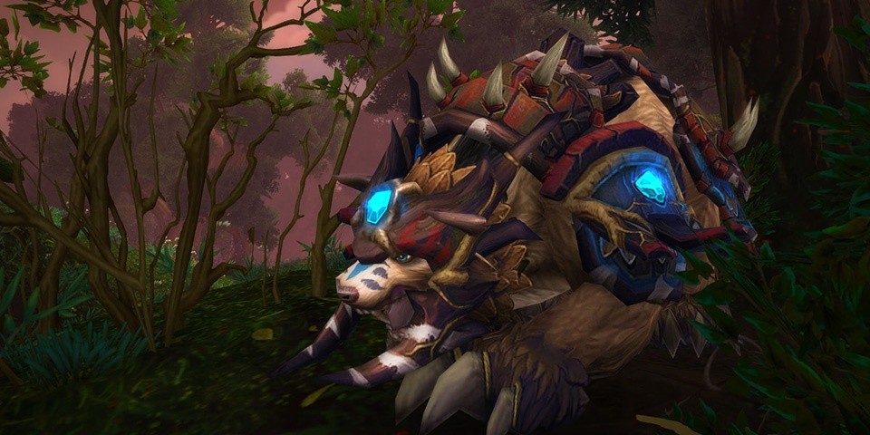 Відгуки Blizzard про клас Друїд у Shadowlands.